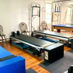 481 Wellness
