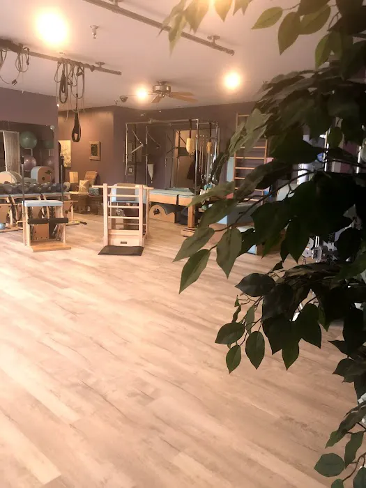 Newtown Health and Wellness and Pilates studio Picture 3