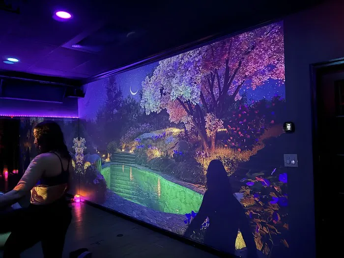 Studio Lit - Infrared Hot Fitness - Yoga - Wellness Picture 9