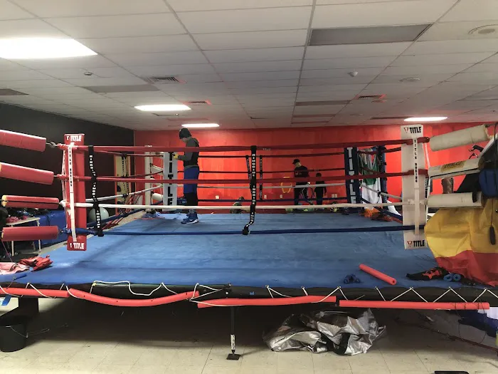 Fight Night Boxing Club Picture 2