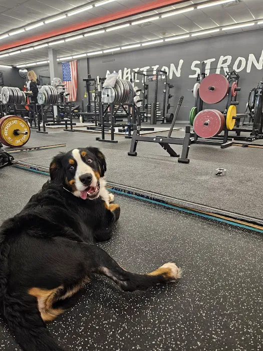 570 Ambition Gym Picture 6
