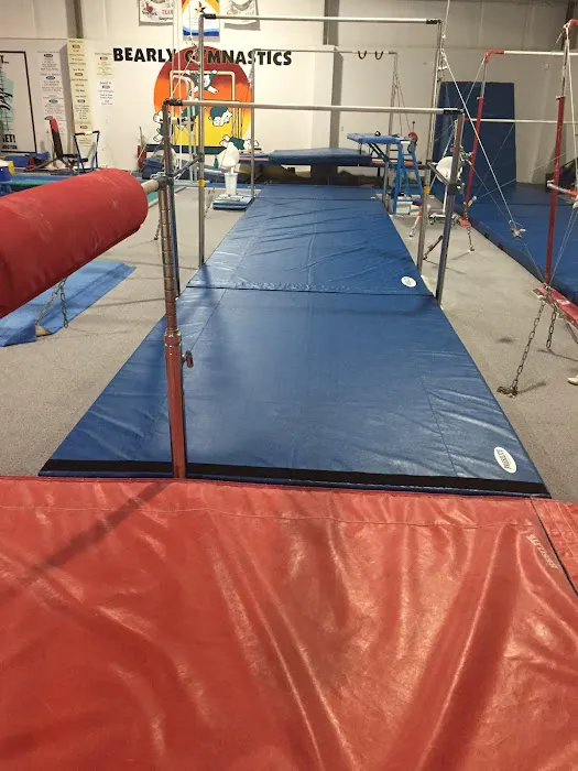 Northeast Gymnastics Academy Picture 3