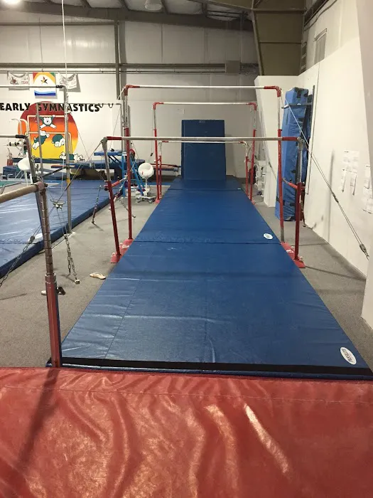Northeast Gymnastics Academy Picture 1