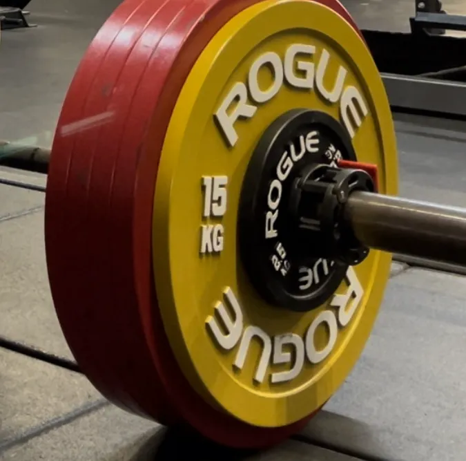 Muscle Inc Picture 6
