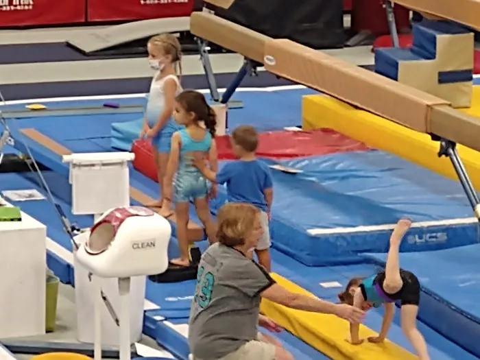Gymland School of Gymnastics Picture 5
