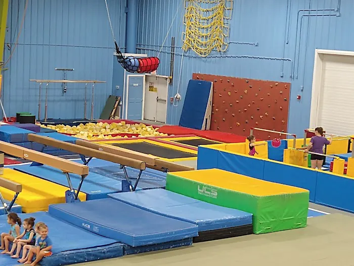 Gymland School of Gymnastics Picture 8