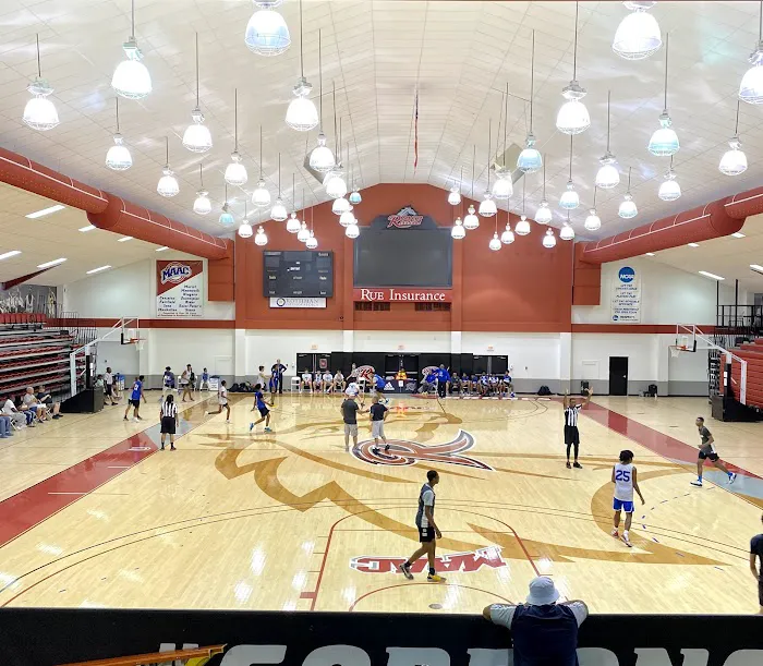 Alumni Gymnasium Picture 7