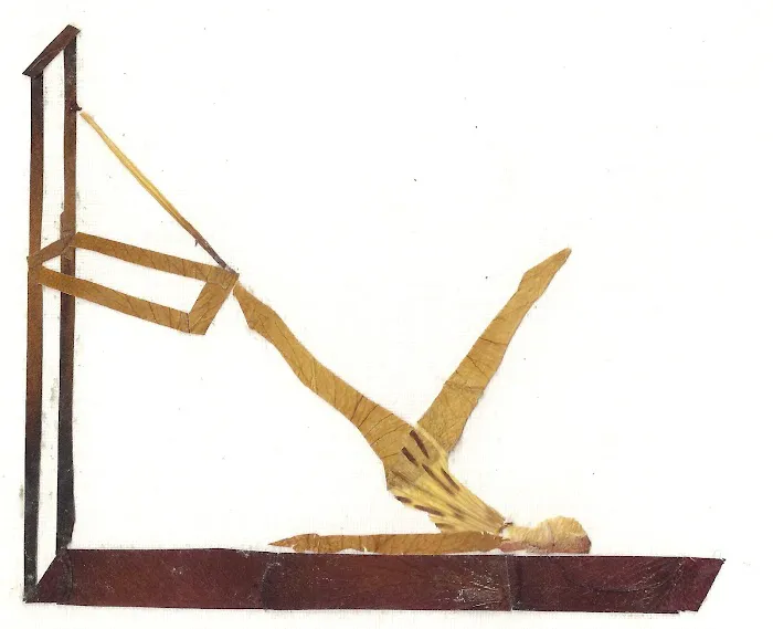 Kinescitum Picture 1