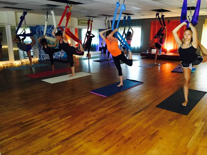 Dragonfly Aerial Studio Picture 4