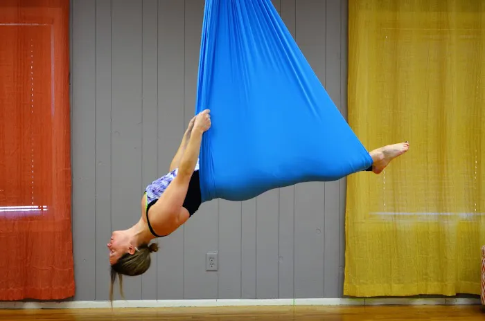 Dragonfly Aerial Studio Picture 1