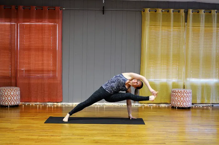 Dragonfly Aerial Studio Picture 3