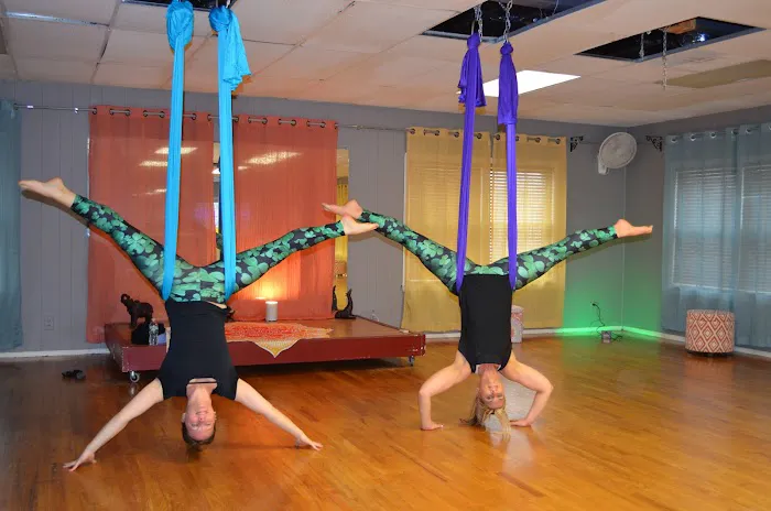 Dragonfly Aerial Studio Picture 6
