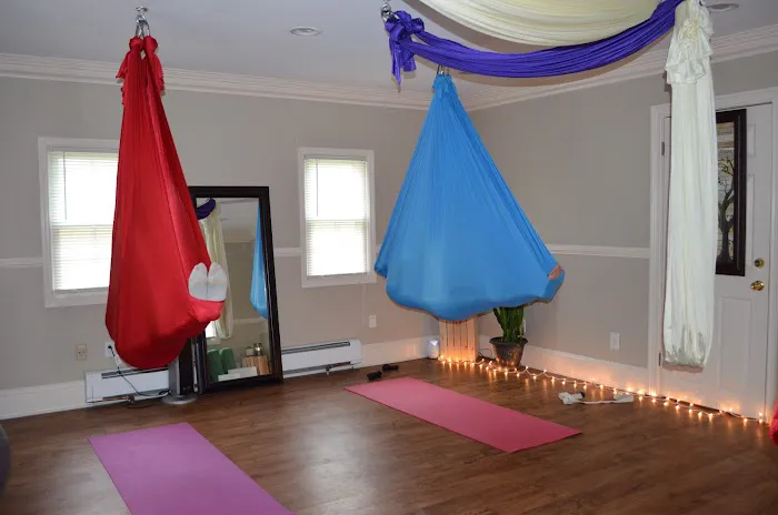 Dragonfly Aerial Studio Picture 2
