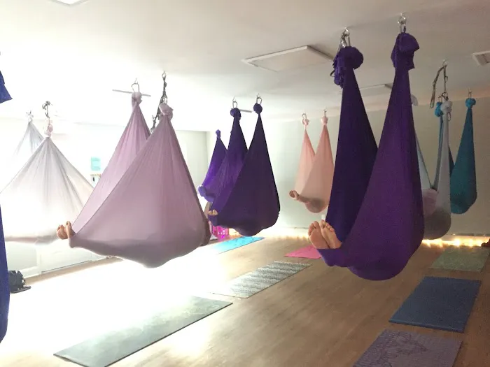 Dragonfly Aerial Studio Picture 9