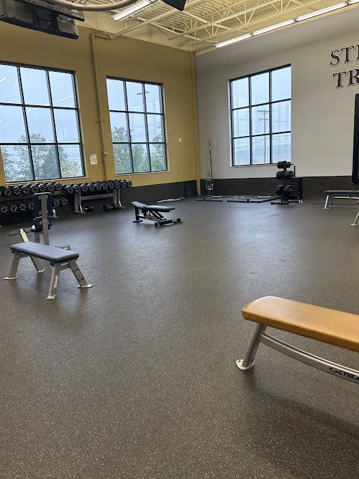 Platinum Fitness Hanover Picture 7