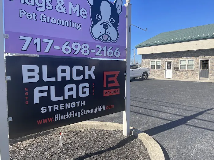 Black Flag Strength - Hanover Picture 10