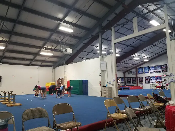USA Stars Cheer and Dance Picture 5