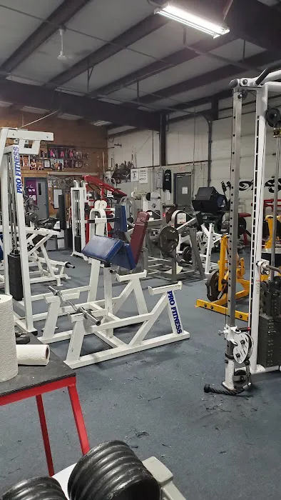 Iron Haven Gym & Training Picture 7