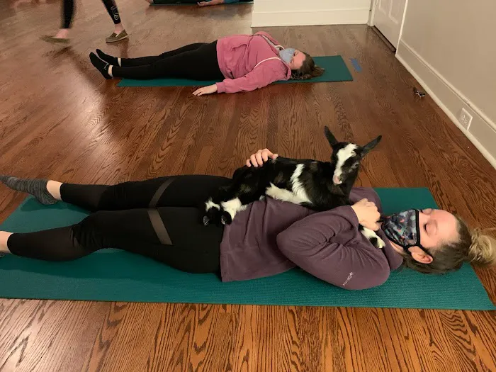 Simply Yoga and Fitness Picture 2