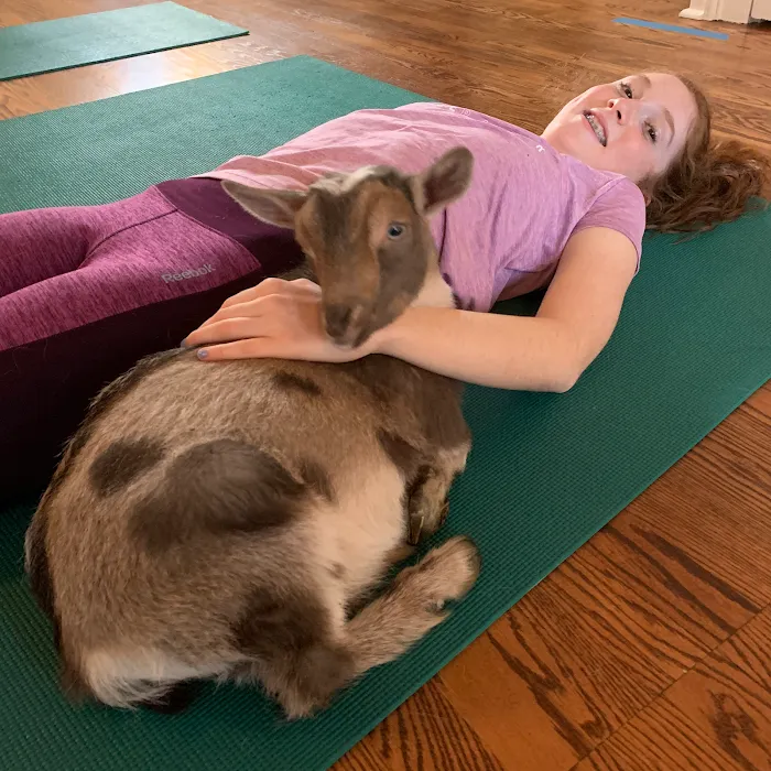 Simply Yoga and Fitness Picture 9