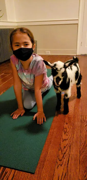 Simply Yoga and Fitness Picture 8