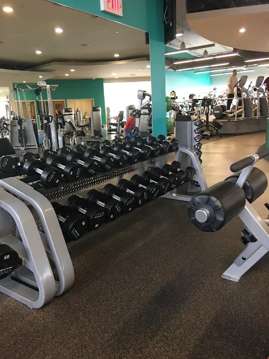 VIVE Health & Fitness Picture 5