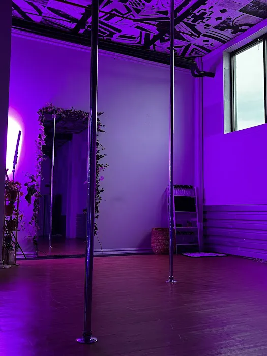 Waves Pole Studio Picture 3