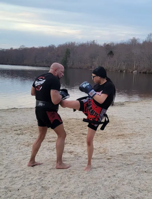 Maisonets Muay Thai Picture 9