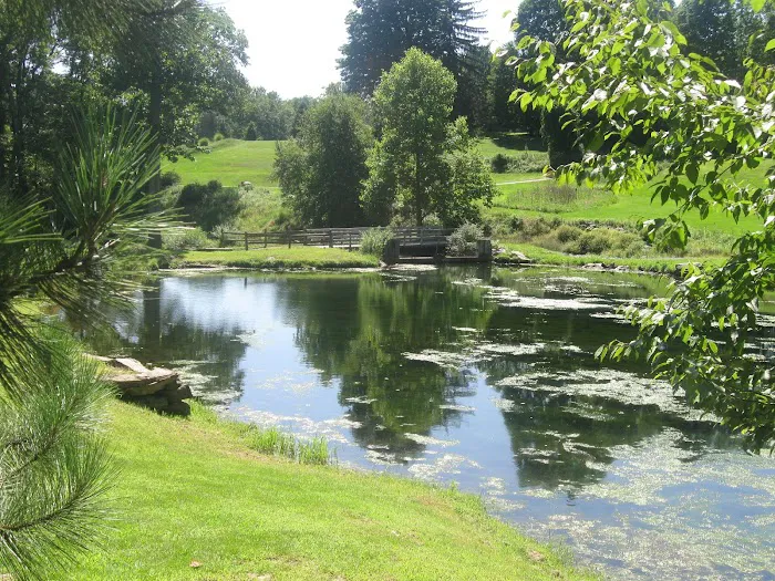 Paiste Pond Activity Center Picture 6