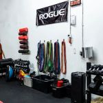 Ludus Performance Gym
