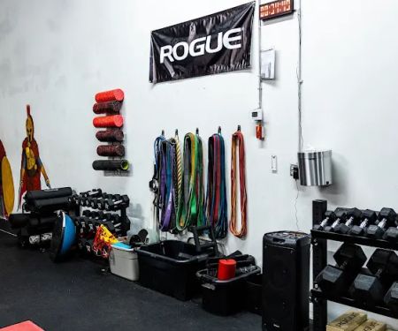 Ludus Performance Gym