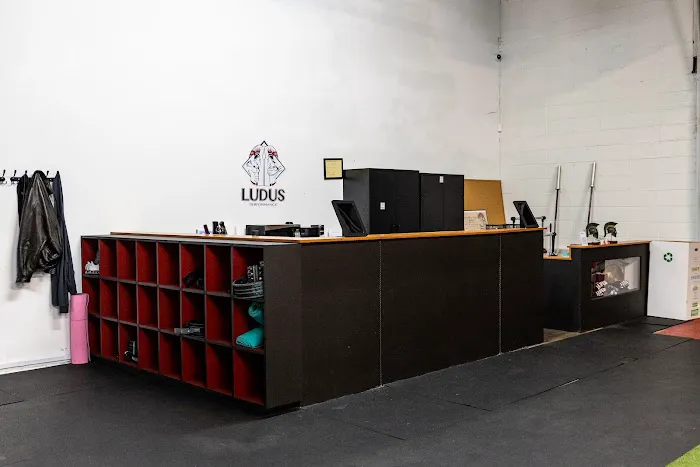Ludus Performance Gym Picture 4