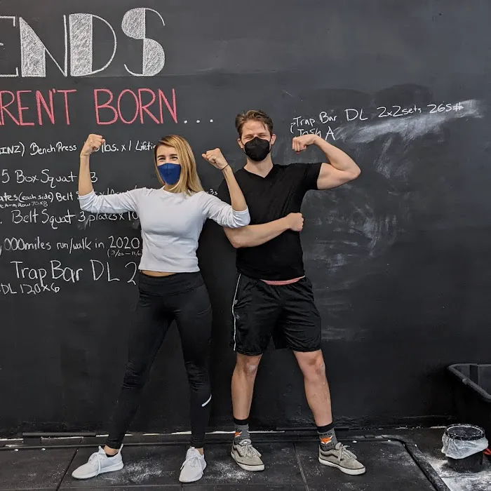 Ludus Performance Gym Picture 8