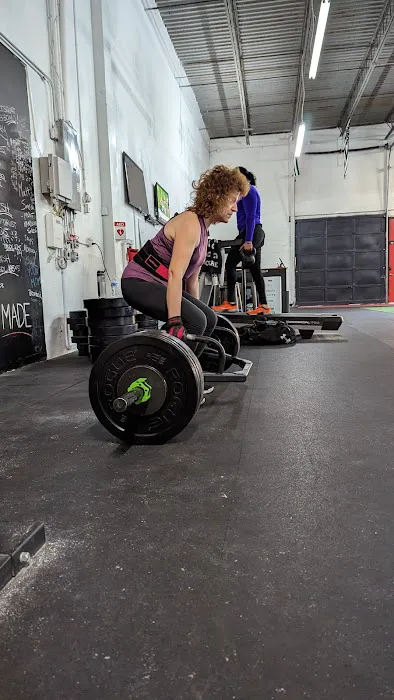 Ludus Performance Gym Picture 10