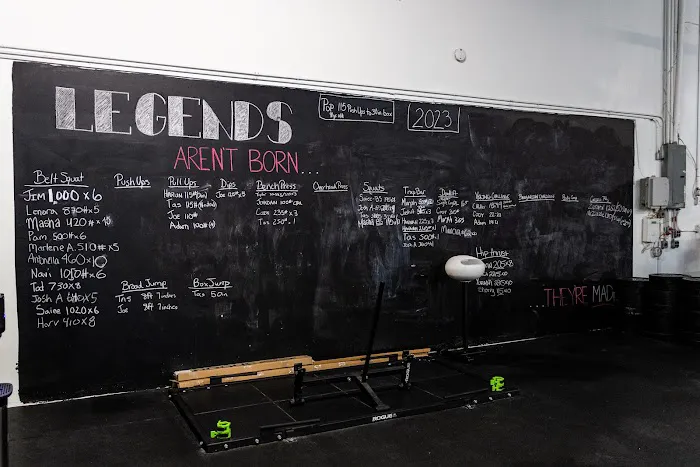Ludus Performance Gym Picture 2