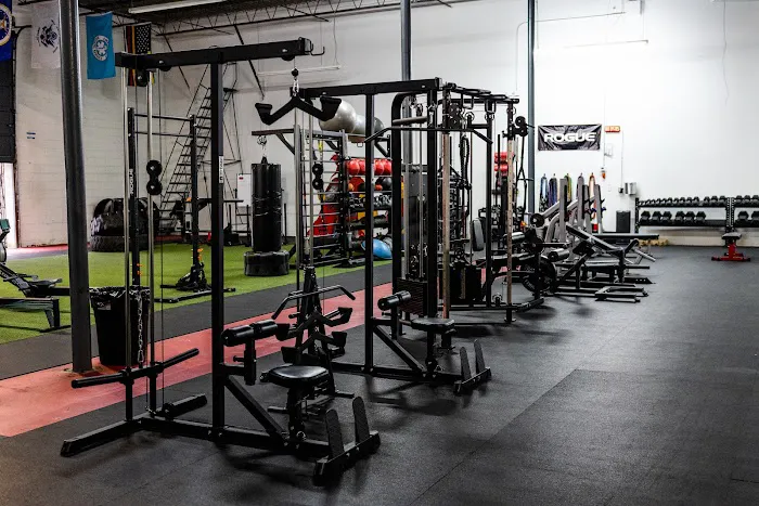Ludus Performance Gym Picture 5