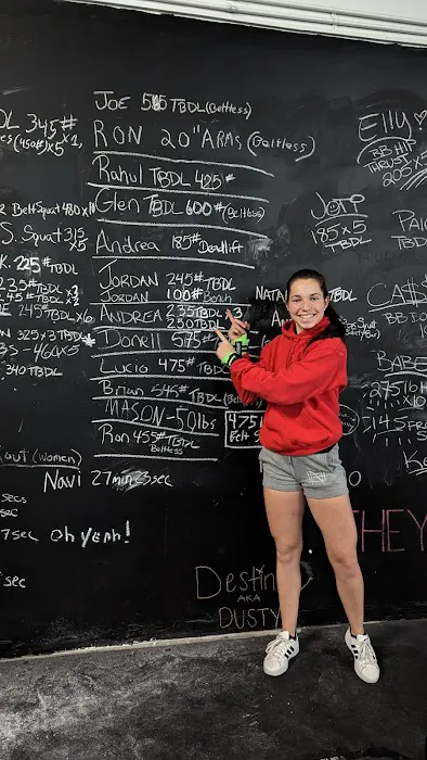 Ludus Performance Gym Picture 7