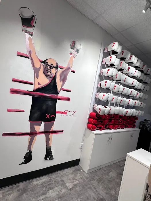 Rumble Boxing Picture 6