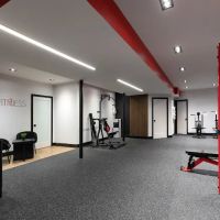MiFitness ico