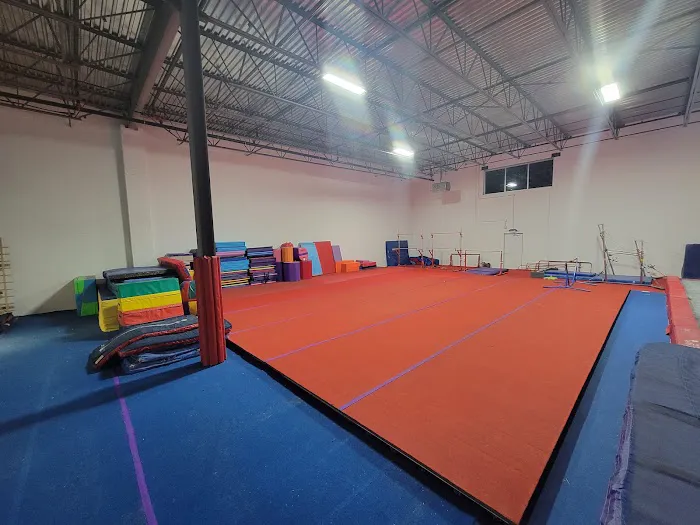 Empower Gymnastics Picture 1