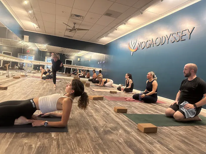 YOGA ODYSSEY Picture 4