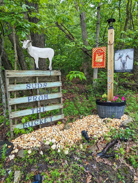 Gettysburg Goat Yoga Picture 4