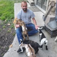 Gettysburg Goat Yoga ico