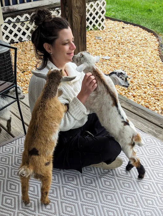 Gettysburg Goat Yoga Picture 8