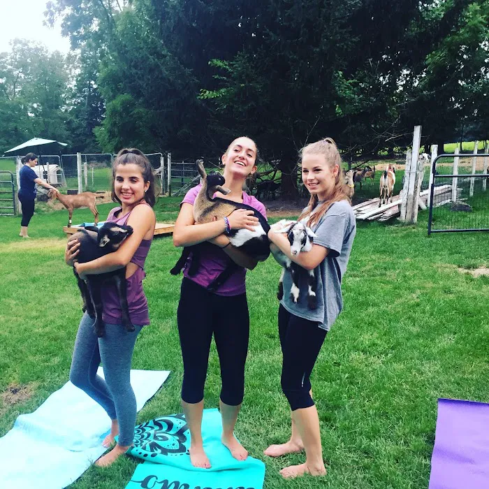 Gettysburg Goat Yoga Picture 10
