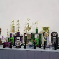 ROCK N' ROLL GYMNASTICS ACADEMY LLC ico