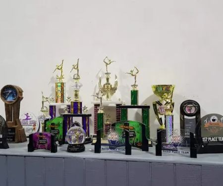 ROCK N' ROLL GYMNASTICS ACADEMY LLC