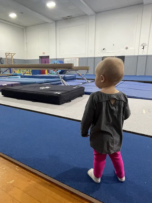 ROCK N' ROLL GYMNASTICS ACADEMY LLC Picture 4