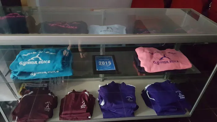 ROCK N' ROLL GYMNASTICS ACADEMY LLC Picture 6