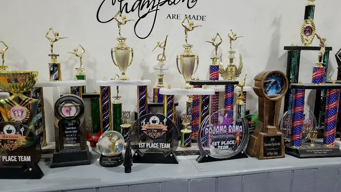 ROCK N' ROLL GYMNASTICS ACADEMY LLC Picture 7